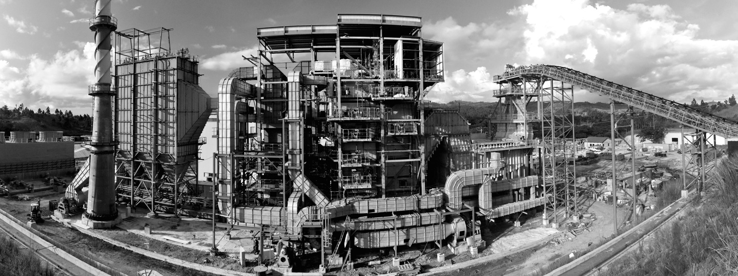 E5982_Biomass E5982_Biomass
